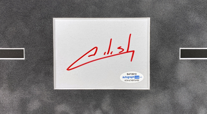 Item # 143143 - Billie Eilish Autograph Signed 16x20 Framed Album Cover Photo Display