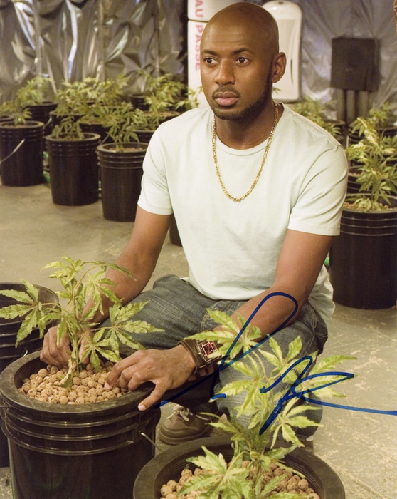 Item # 75231 - Romany Malco "Weeds" AUTOGRAPH Signed 8x10 Photo