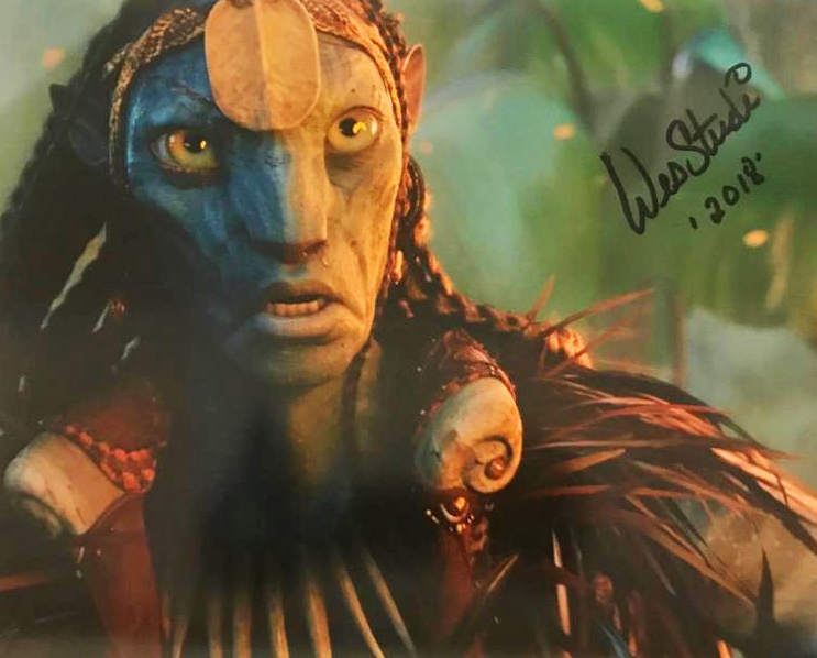 Wes Studi TTM Autograph by Fanmail TTM Wes Studi Autograph by Fanmail TTM